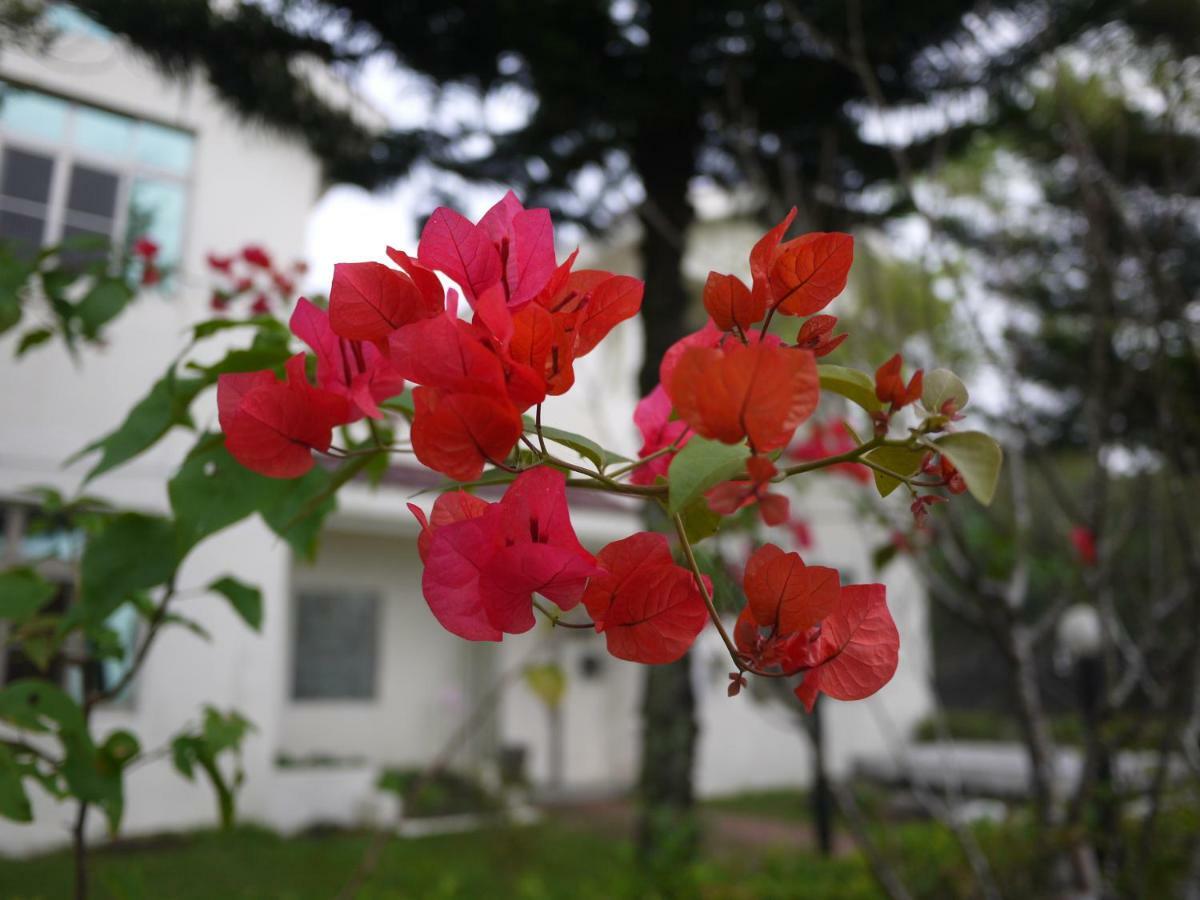 Field House B&B Yuli Ngoại thất bức ảnh